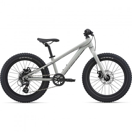 BICICLETA GIANT STP 20 2025 BICICLETA GIANT STP 20 2025